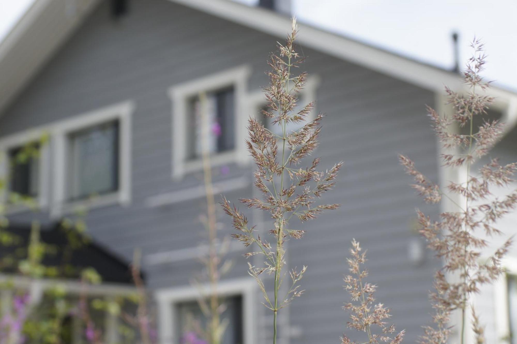 Matikkala Cottages Ruokolahti Bagian luar foto