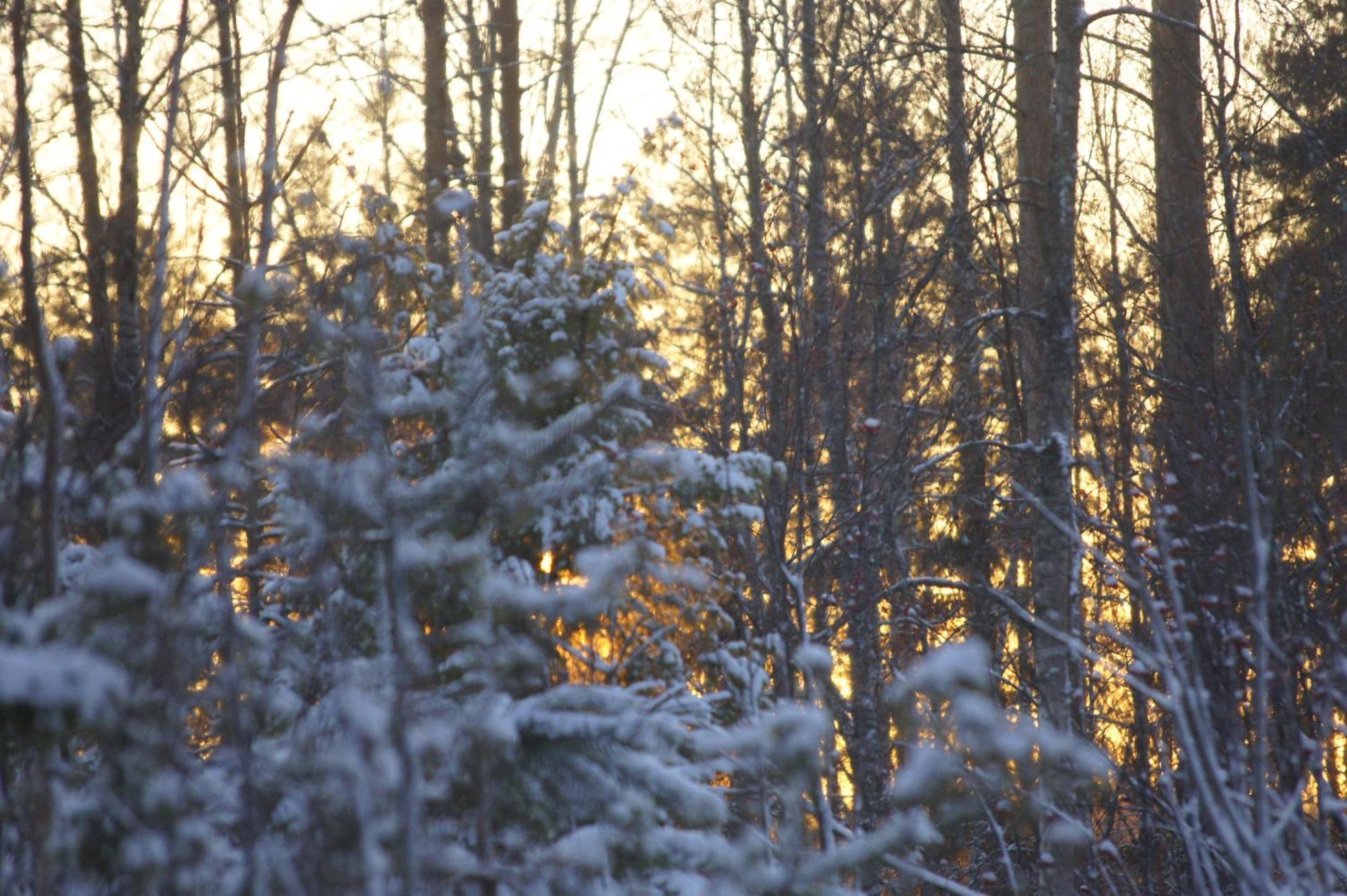 Matikkala Cottages Ruokolahti Bagian luar foto